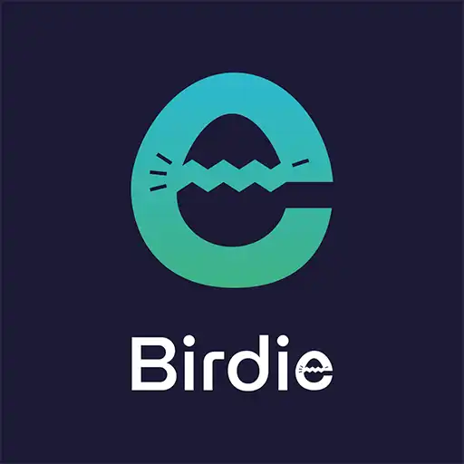 o-cara-da-marca-portfolio-birdie